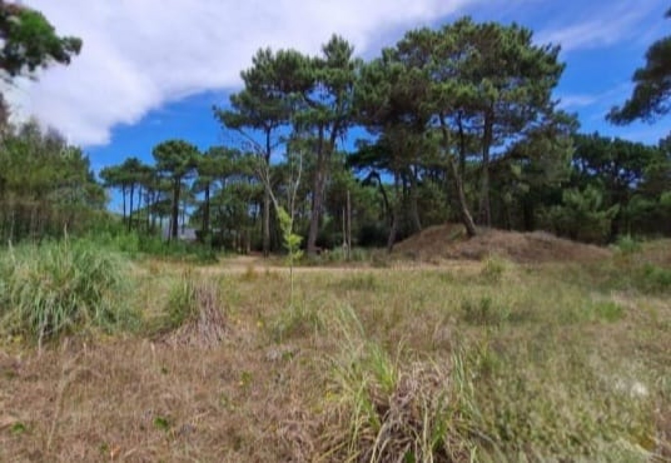 TERRENO EN EL PINAR DE LA LUCILA