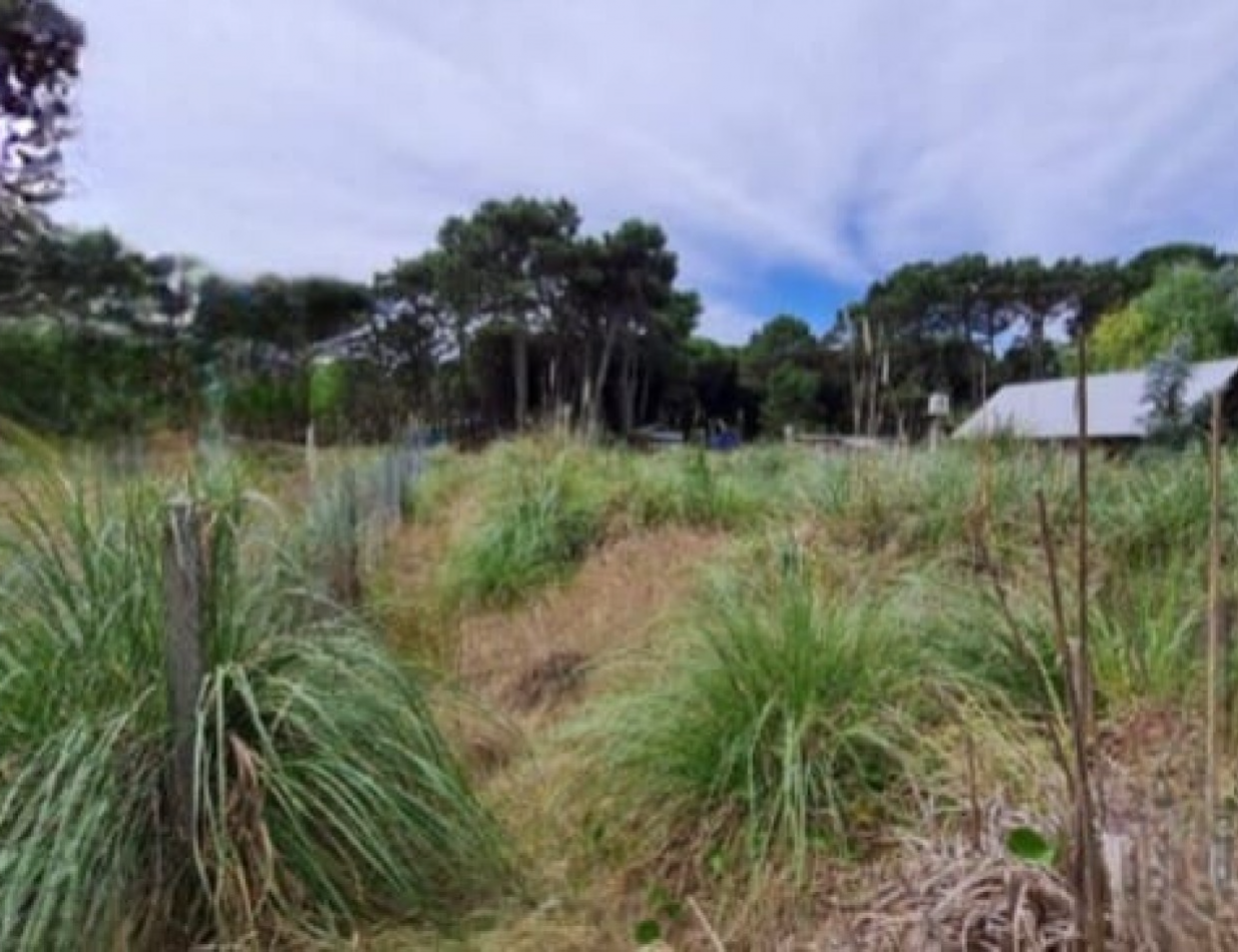 TERRENO EN EL PINAR DE LA LUCILA